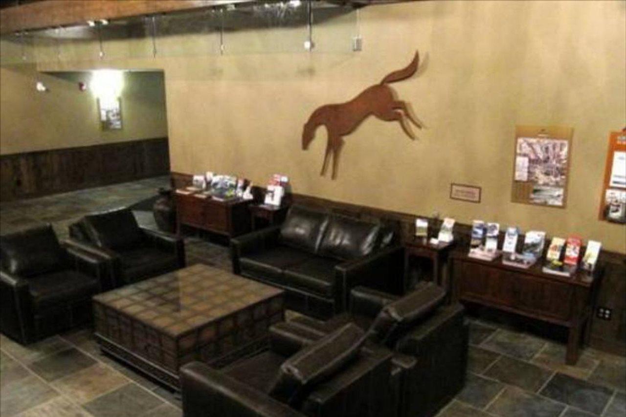 Glacier Mountaineer Lodge غولدن المظهر الخارجي الصورة